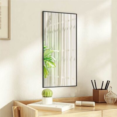Door Mirror Black 30x60 cm Glass and Aluminium