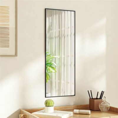 Door Mirror Black 30x80 cm Glass and Aluminium
