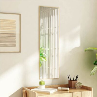 Door Mirror Gold 30x100 cm Glass and Aluminium