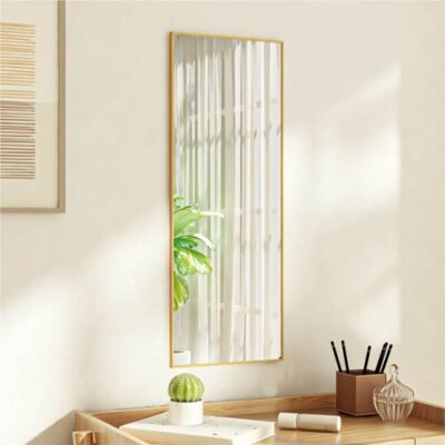 Door Mirror Gold 30x80 cm Glass and Aluminium