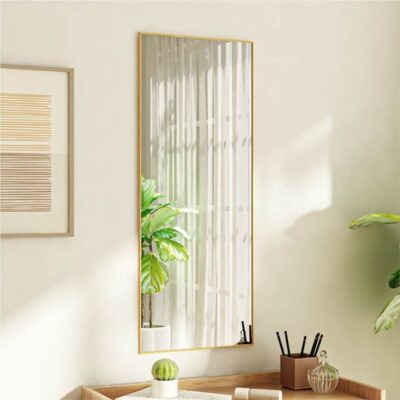 Door Mirror Gold 40x100 cm Glass and Aluminium