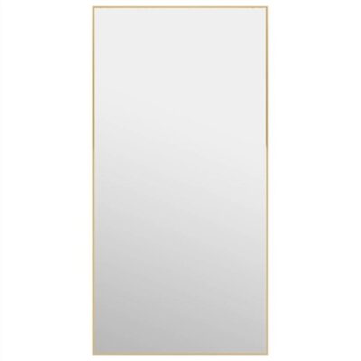 Door Mirror Gold 50x100 cm Glass and Aluminium