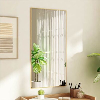 Door Mirror Gold 50x100 cm Glass and Aluminium