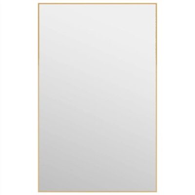 Door Mirror Gold 50x80 cm Glass and Aluminium